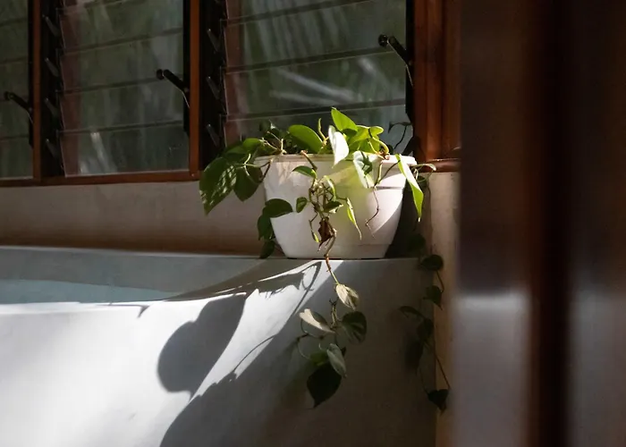 Cozy Casa Pochote - 5 Min Drive To Playa Pelada